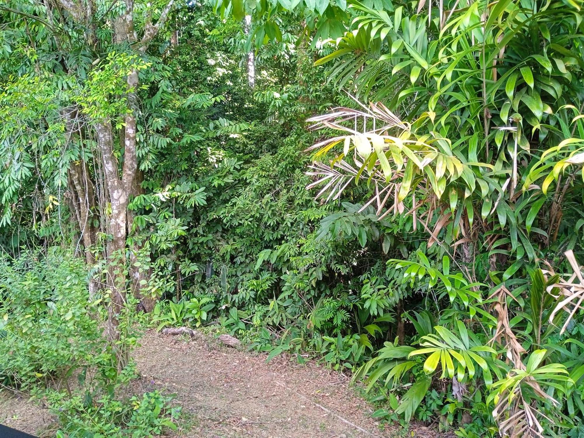 Cabanas Bajo Bosque Drake Дрейк Екстер'єр фото