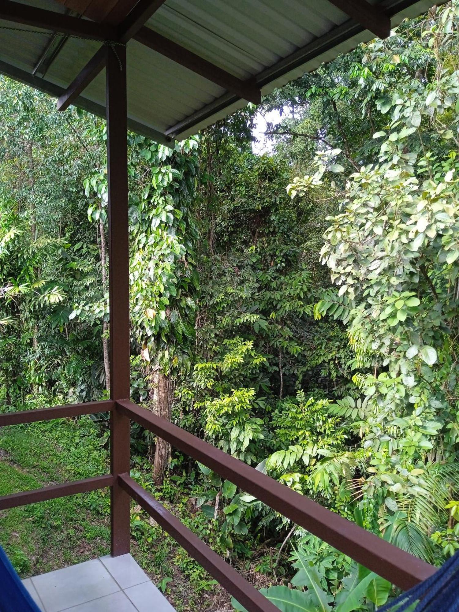 Cabanas Bajo Bosque Drake Дрейк Екстер'єр фото