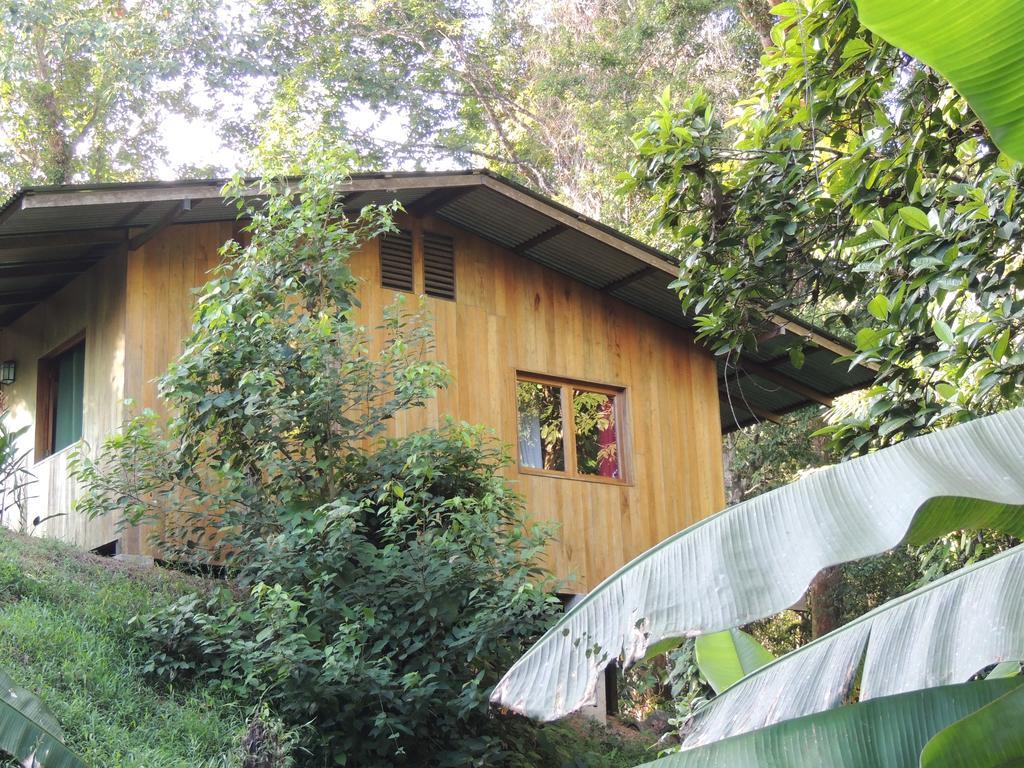 Cabanas Bajo Bosque Drake Дрейк Екстер'єр фото